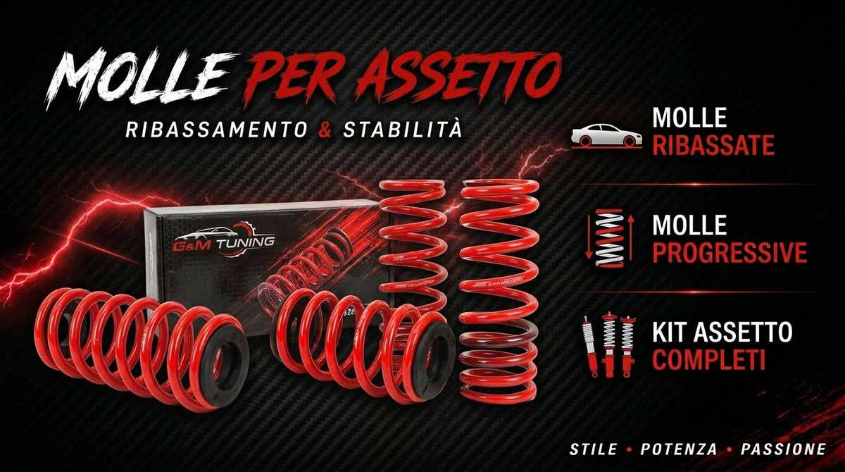 Molle e ammortizzatori per assetto