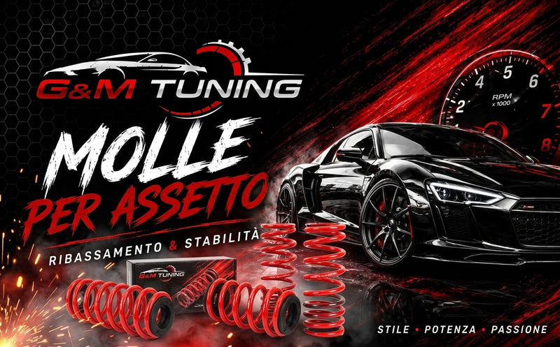 Molle e ammortizzatori per assetto
