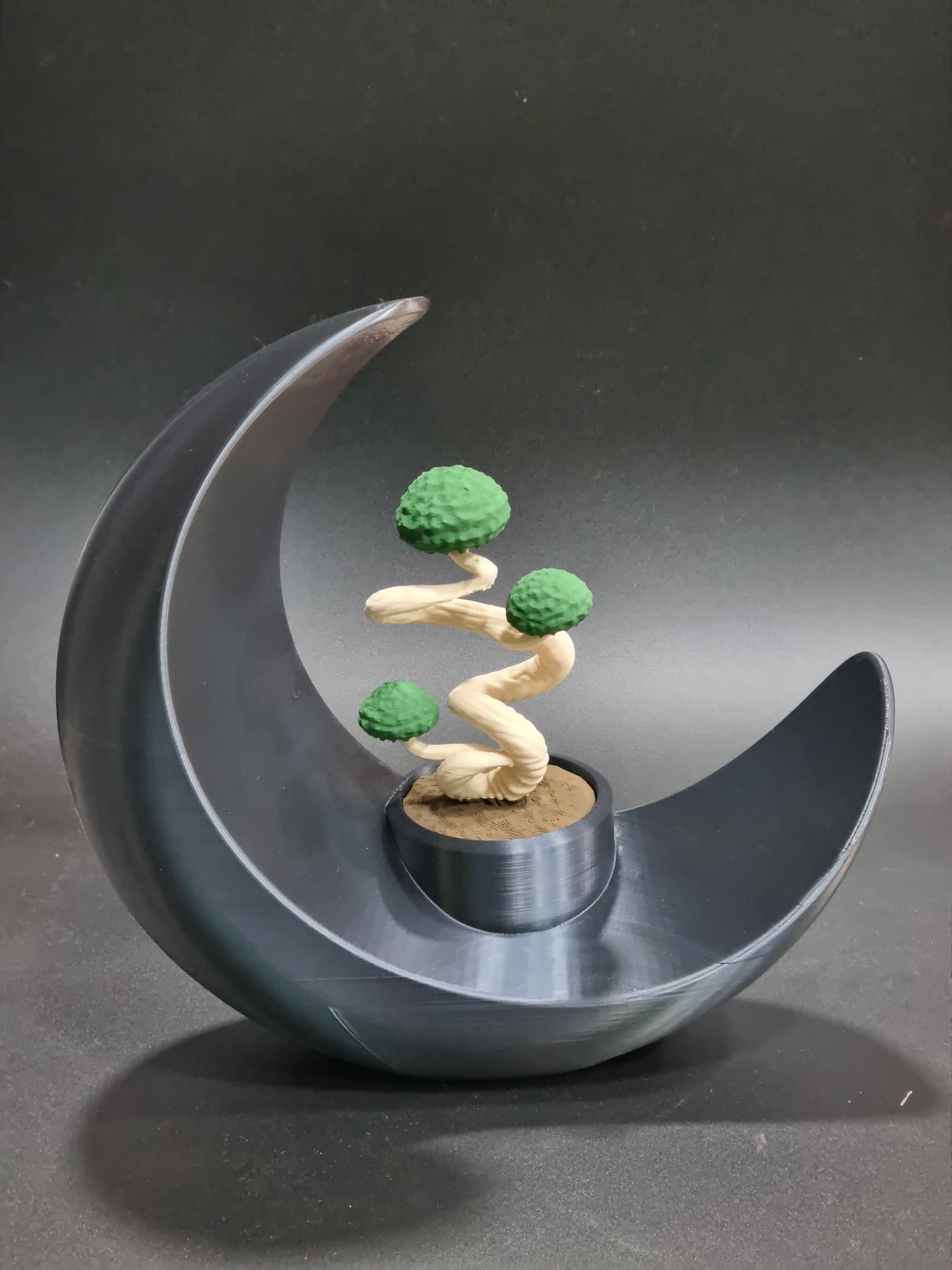 Luna con Bonsai