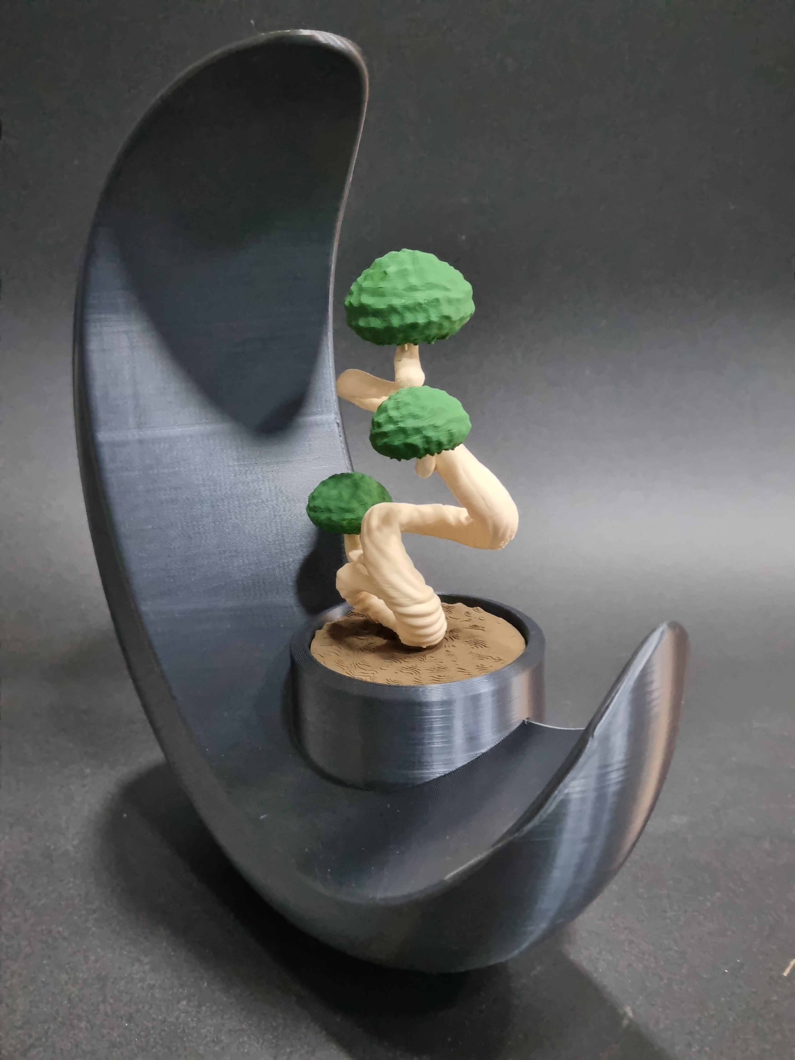 Luna con Bonsai