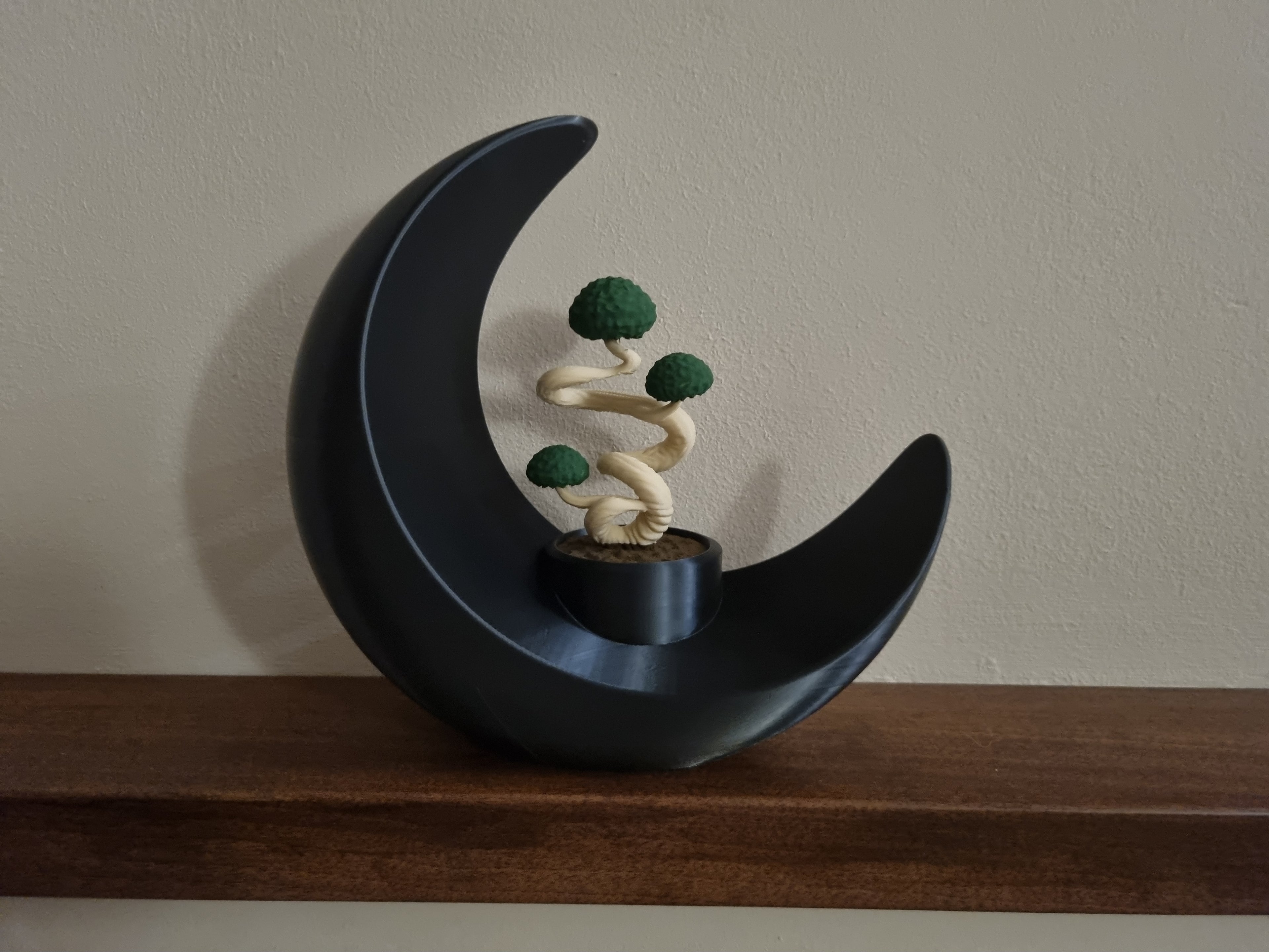 Luna con Bonsai