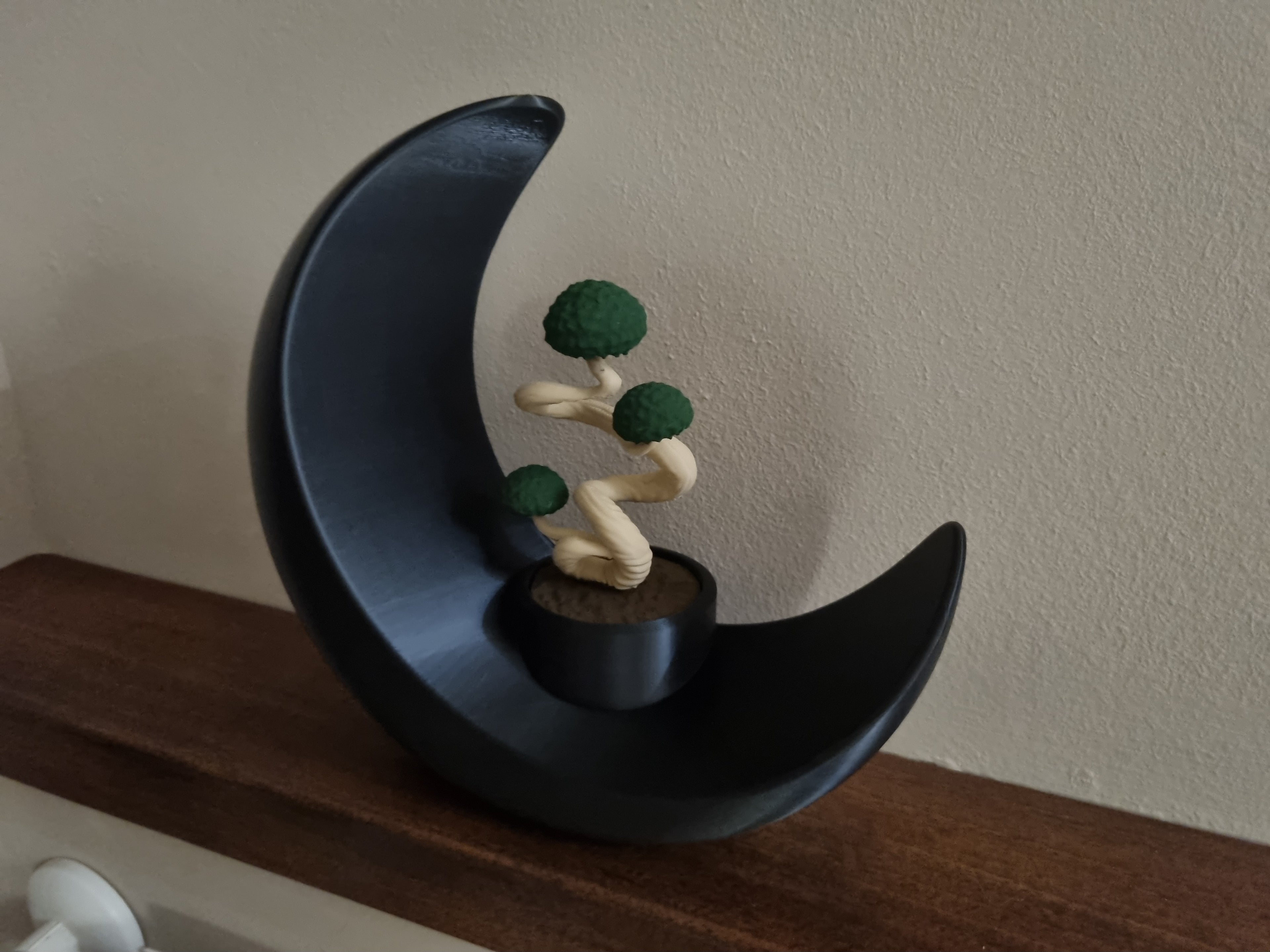 Luna con Bonsai