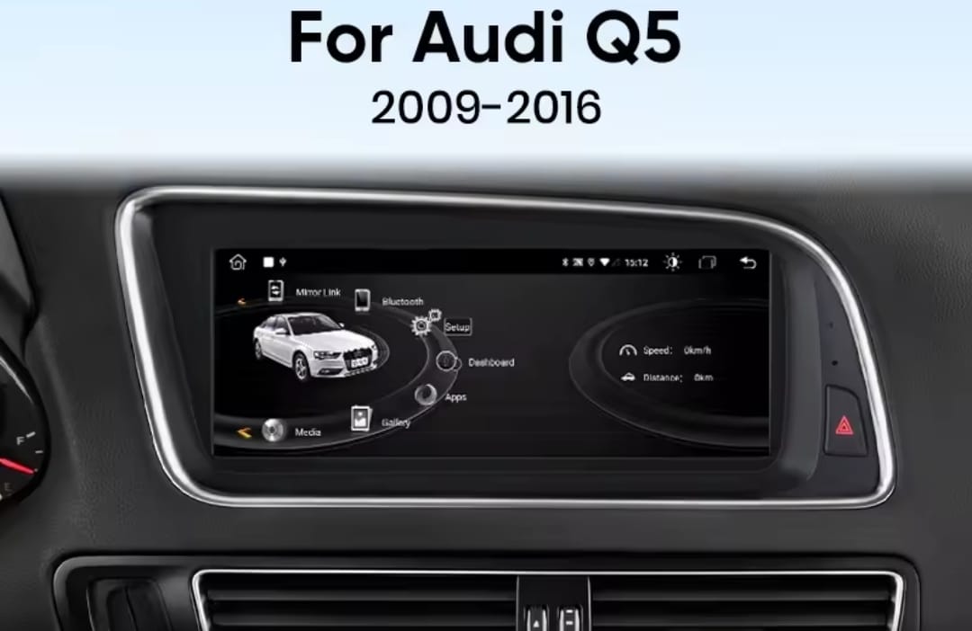 Audi Q5 - 2009/2016