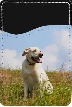 Porta tessera adesivo da smartphone